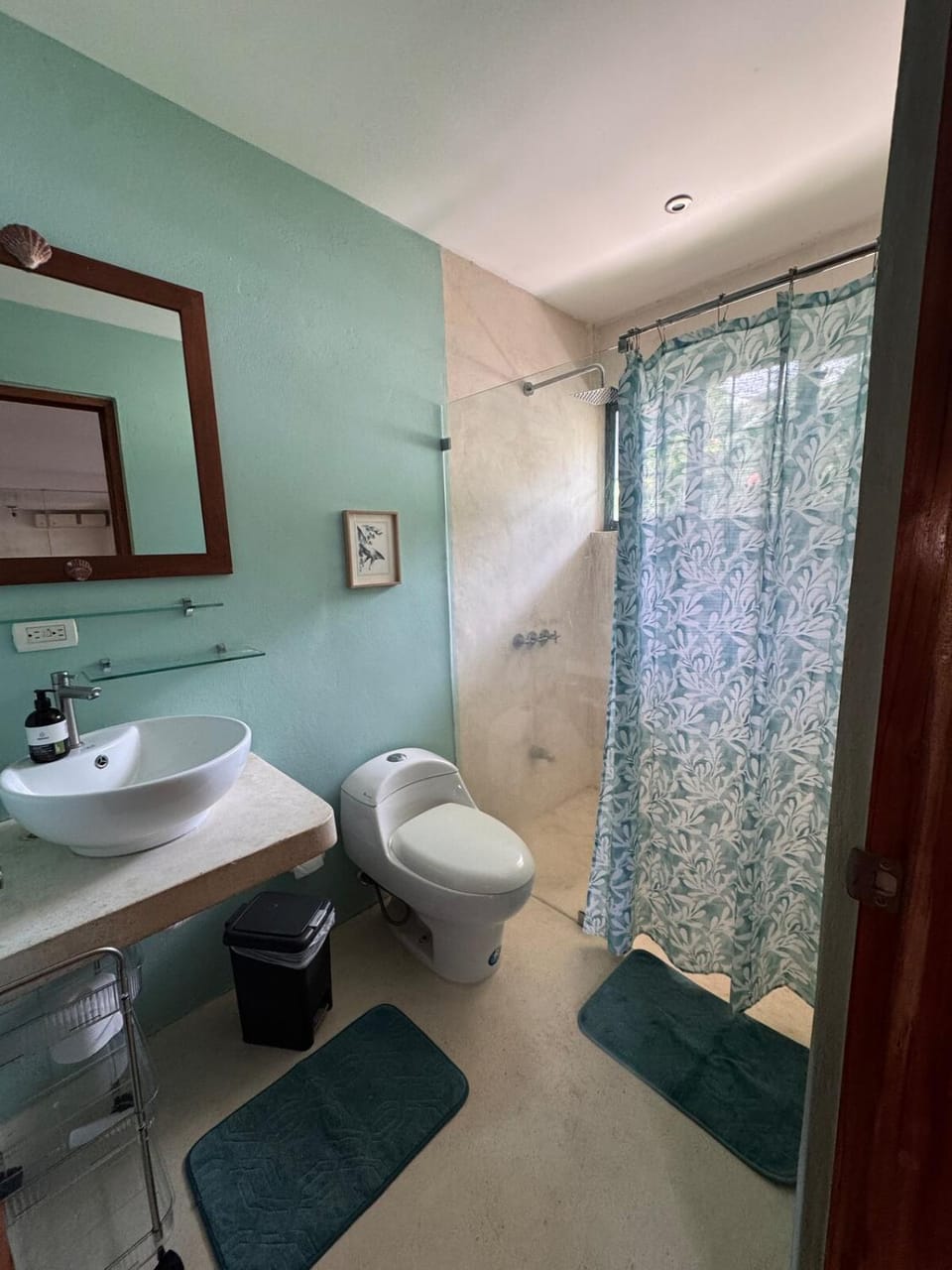 Casa Corazón Apartment in Santa Teresa Beach