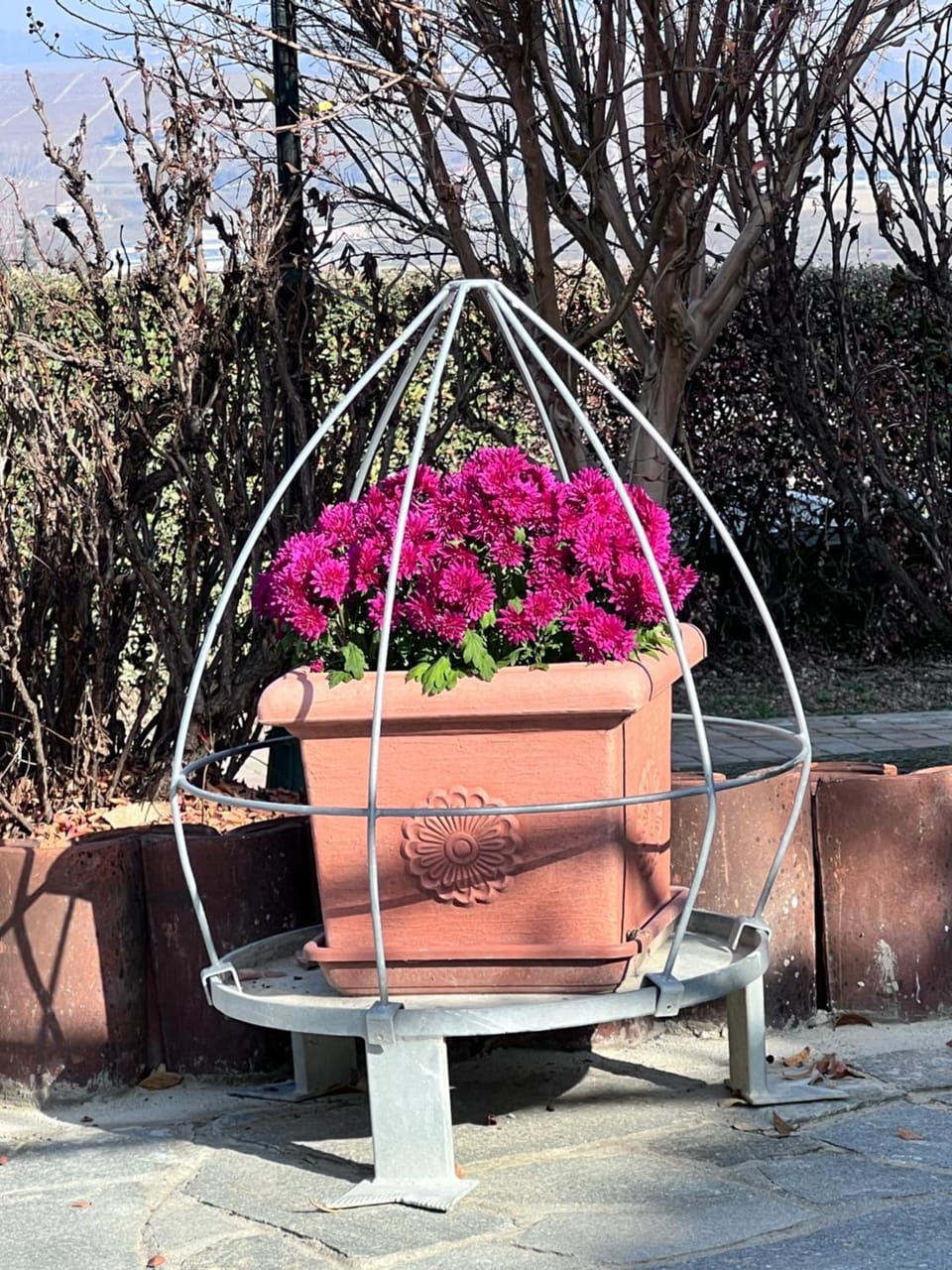 Spring, Garden view