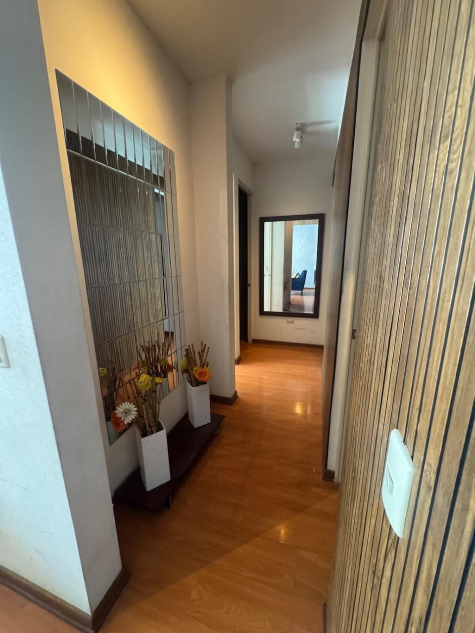 Comfortable apartment in downtown area - 3 bedrooms Apartment in San Isidro