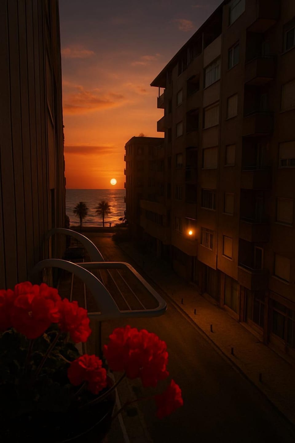 Property building, Natural landscape, Sea view, Sunrise, Sunset