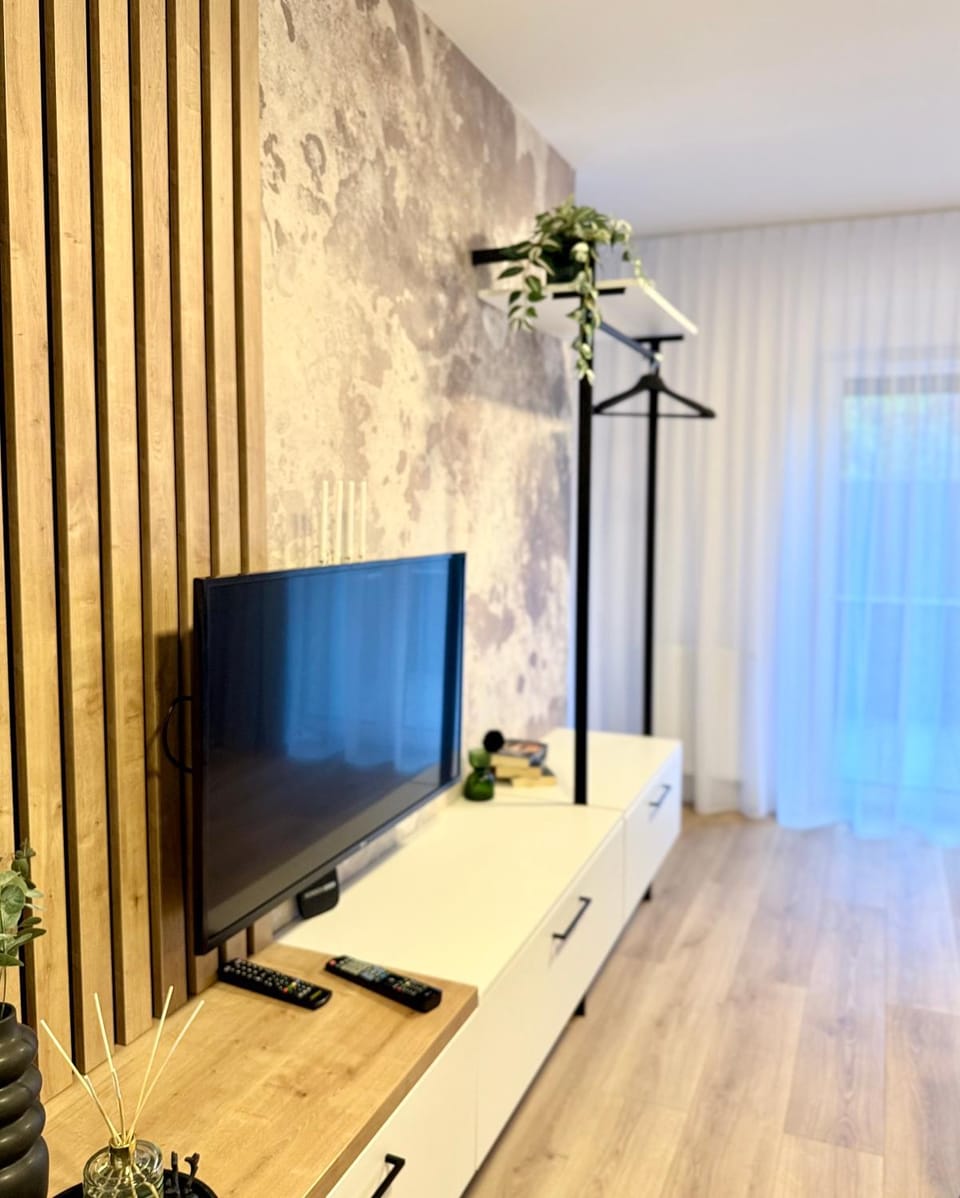 Communal lounge/ TV room, TV and multimedia