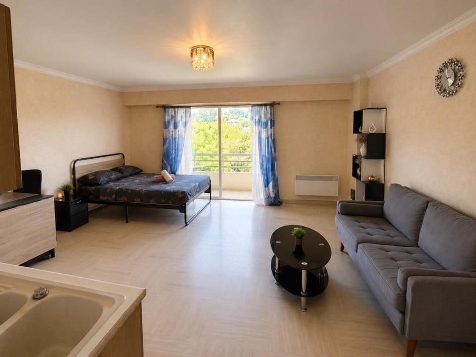 Vue Panoramique Vence Balcon & Calme Apartment in Vence