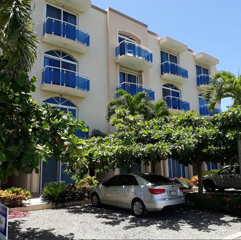 Property building, Spring, Day, Garden, Garden view, Parking
