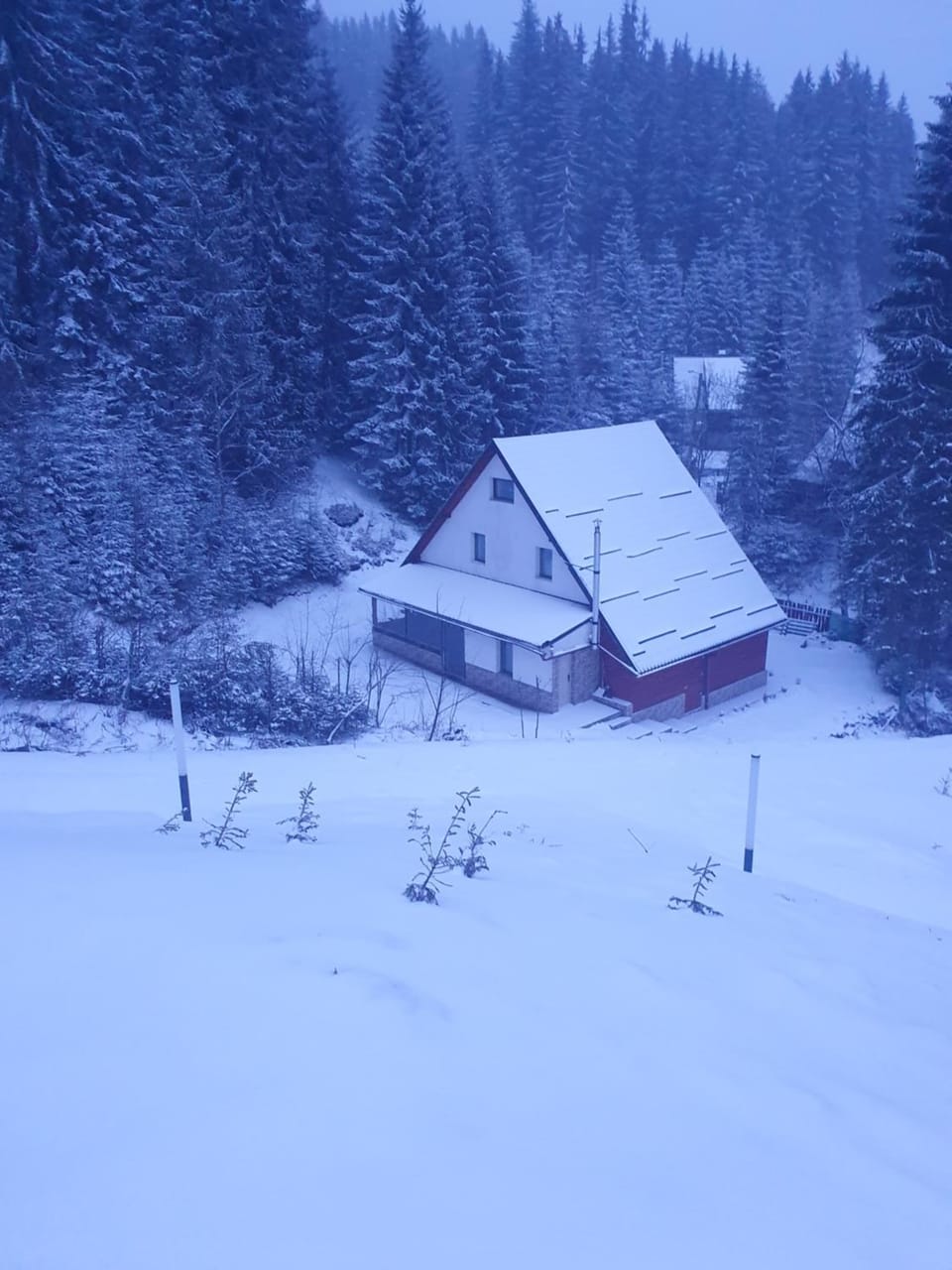 Property building, Winter