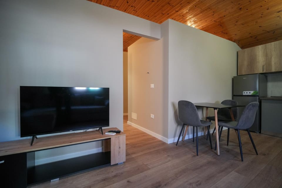 Jera Apartment 2 Vacation rental in Tirana