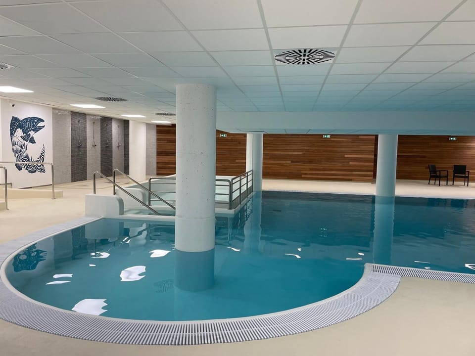 Studio cabine Gourette 6 pers avec piscine et animaux admis - FR-1-860-21 Cabin in Nouvelle-Aquitaine