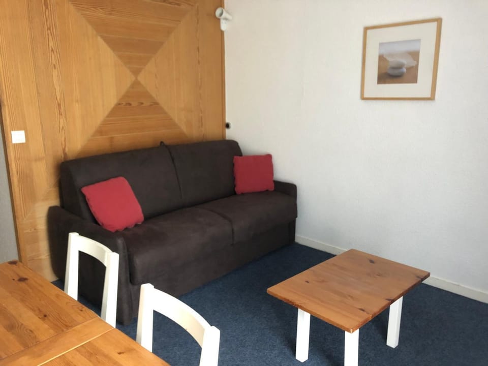 Confort studio 6 pers, vue pistes, animaux admis - FR-1-859-4 Apartment in Nouvelle-Aquitaine