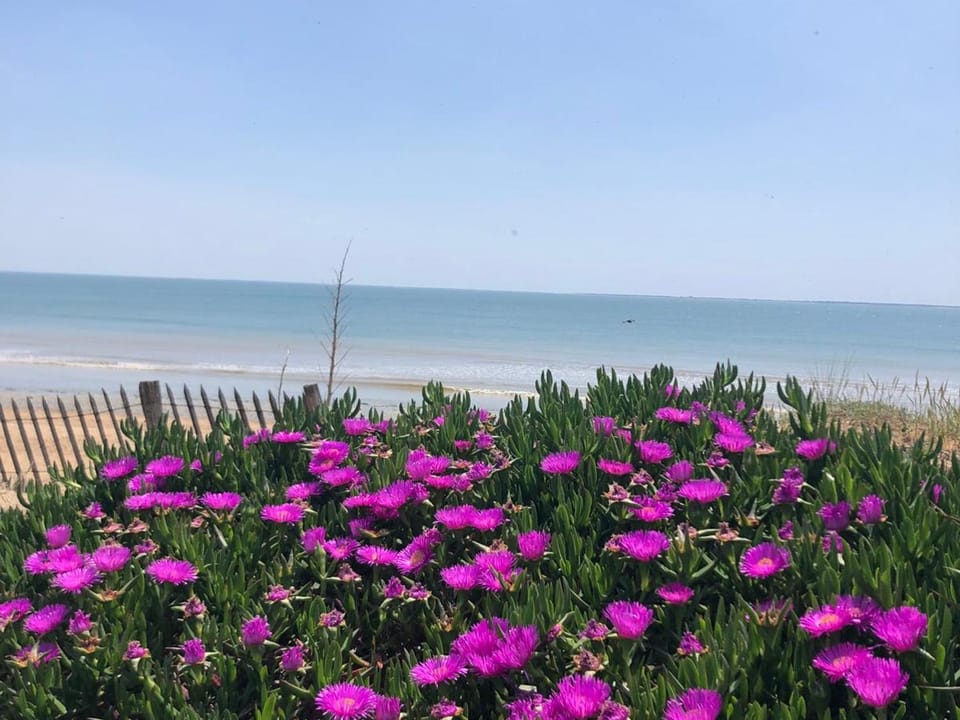 Maison rénovée proche plage et forêt, idéale pour 6 personnes - FR-1-194-351 House in La Tranche-sur-Mer
