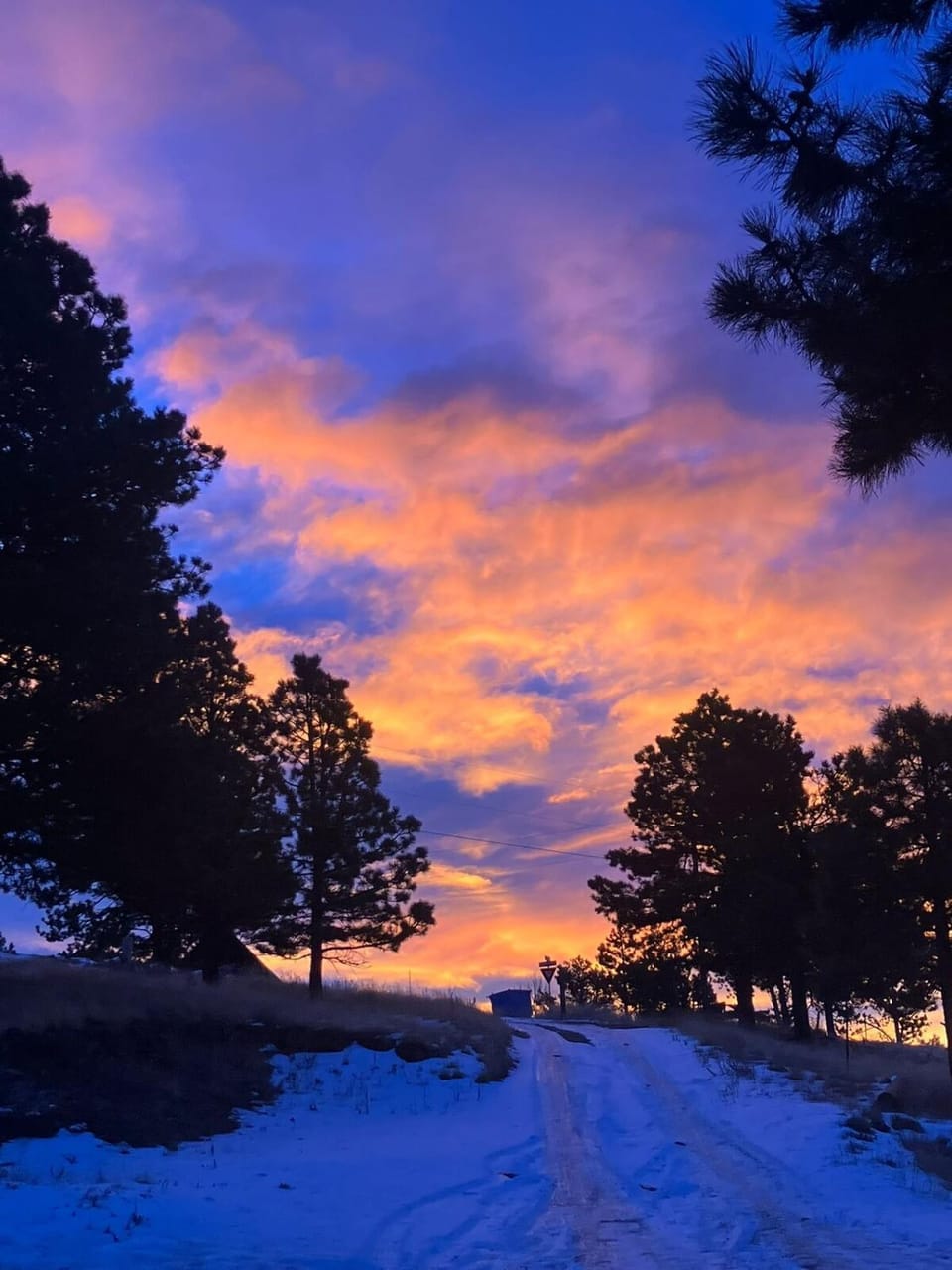 Natural landscape, Winter, Sunrise
