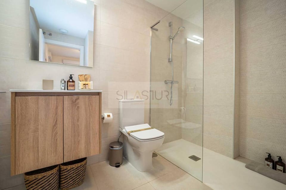 El Pisin De Áviles By Silastur Apartment in Aviles