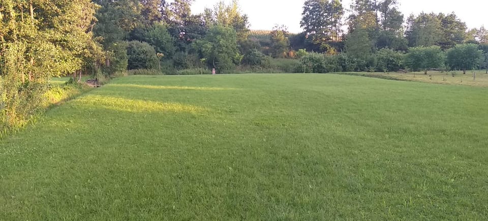 Garden, Garden view