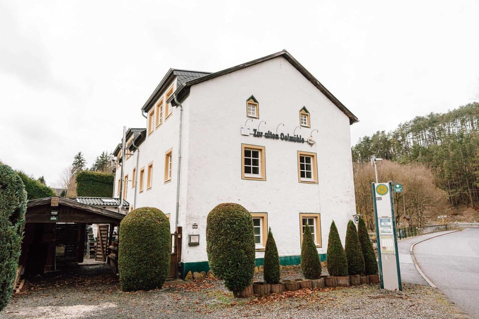 Zur alten Oelmuehle Wellness & Entertainment House in Rhineland-Palatinate