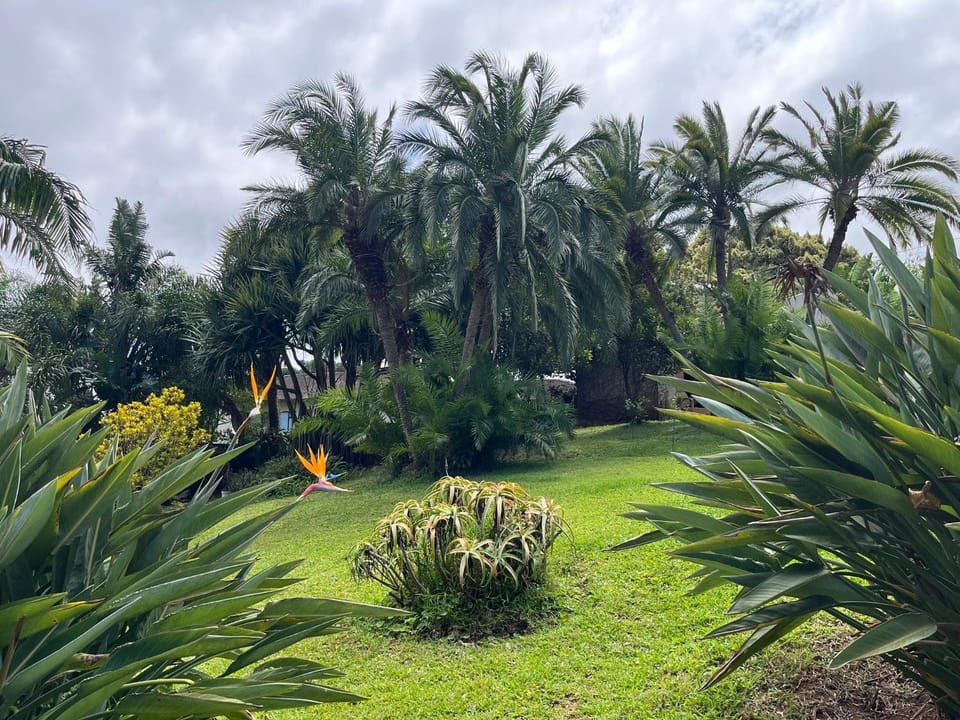 Garden, Garden, Garden view