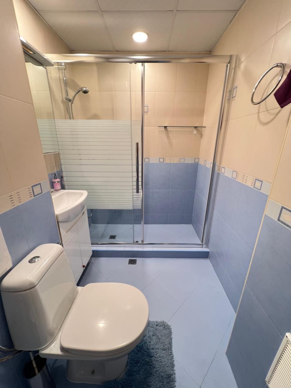 Shower, Toilet, Bathroom