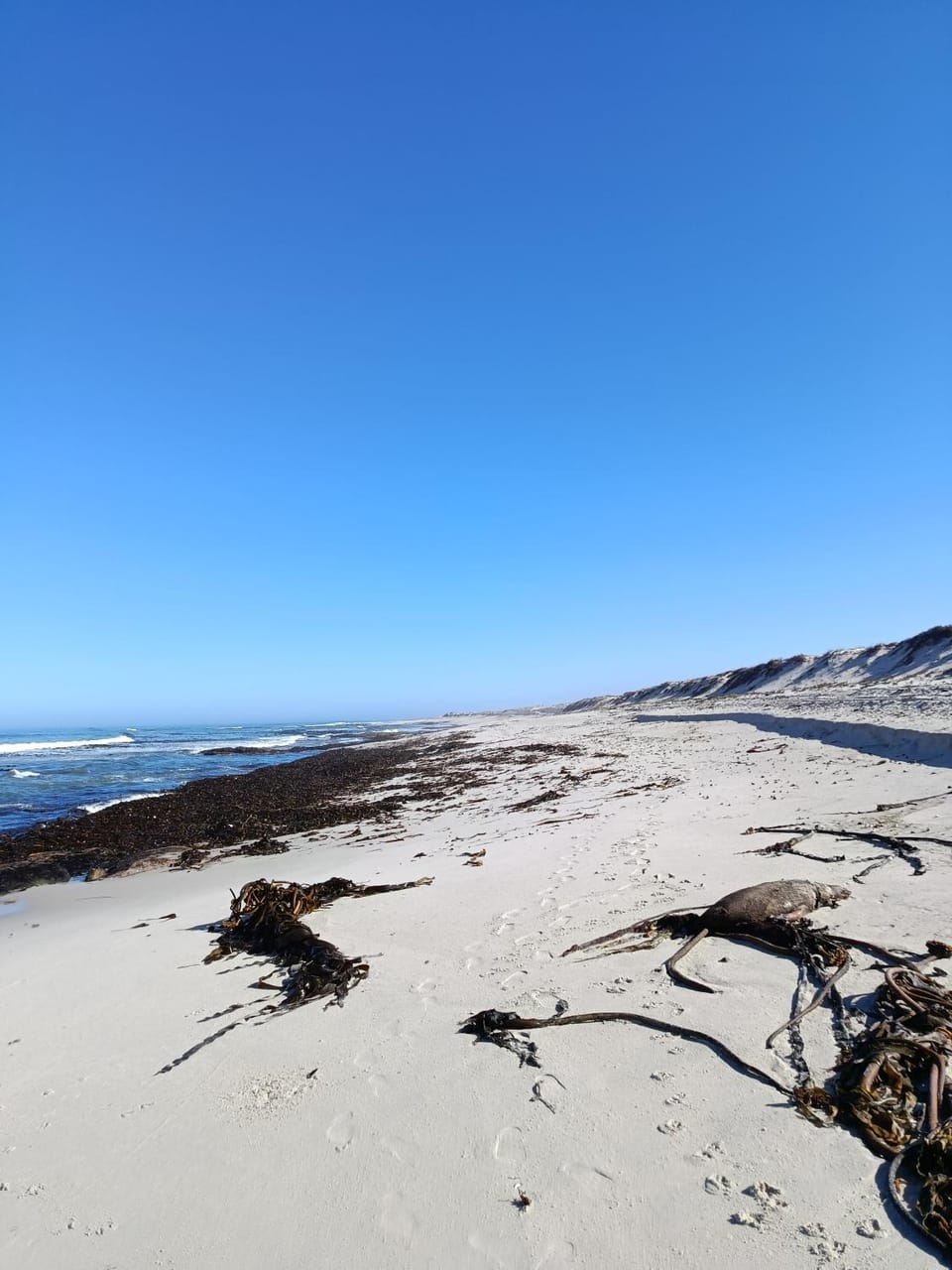 Malkop Sea View Resort Campground/ 
RV Resort in Western Cape