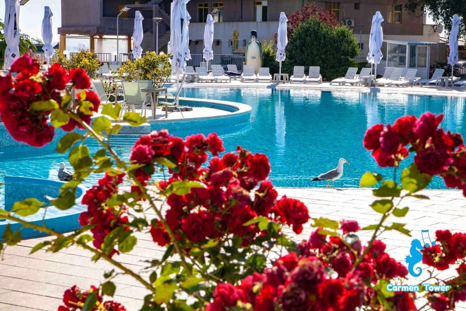 Restaurant/places to eat, Swimming pool, Swimming pool