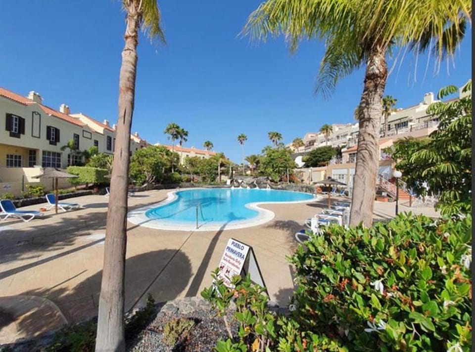 Property building, Day, Garden, Pool view, Swimming pool