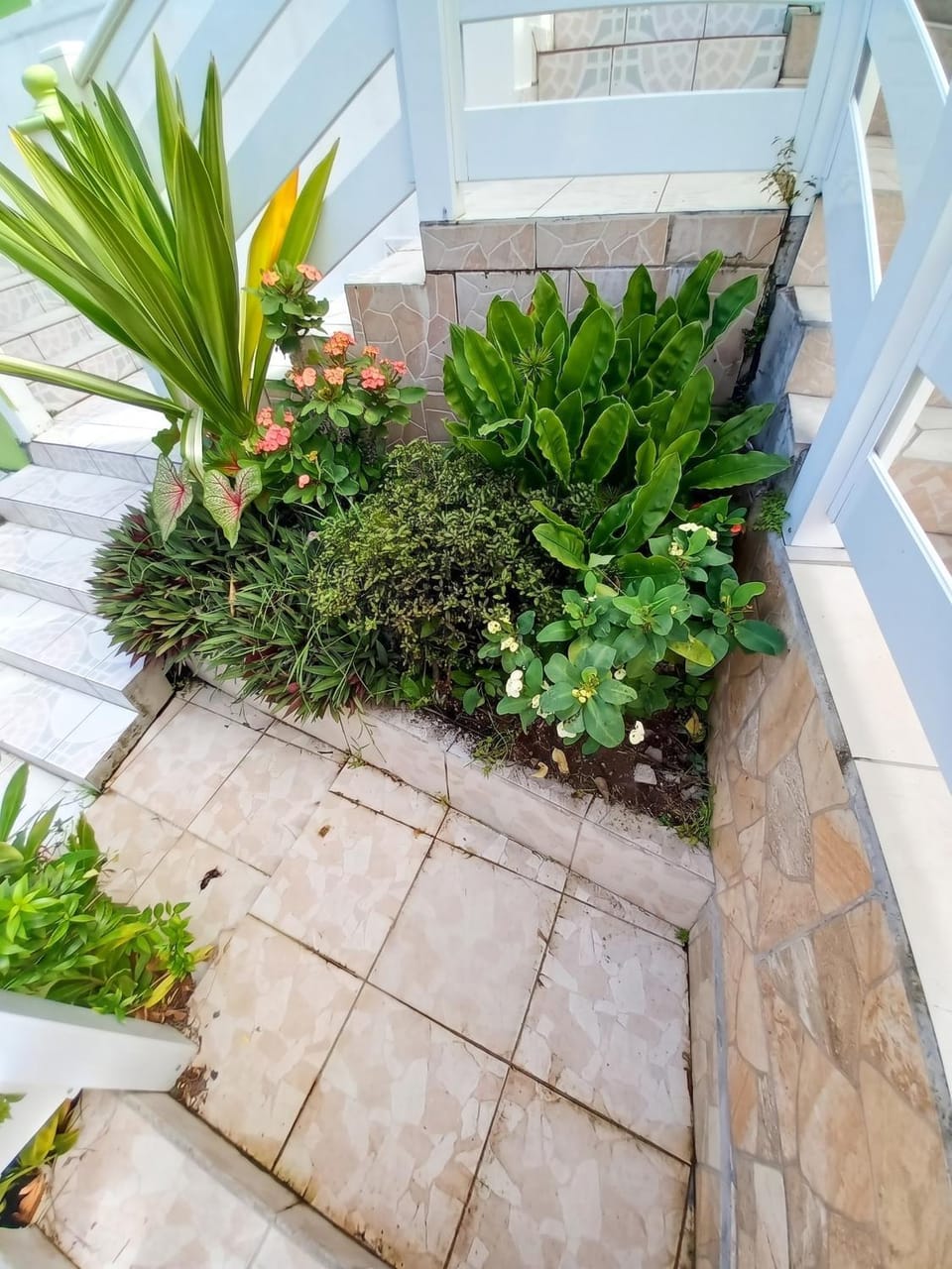 Appartement cosy à Deshaies avec balcon - 35 m² Apartment in Deshaies