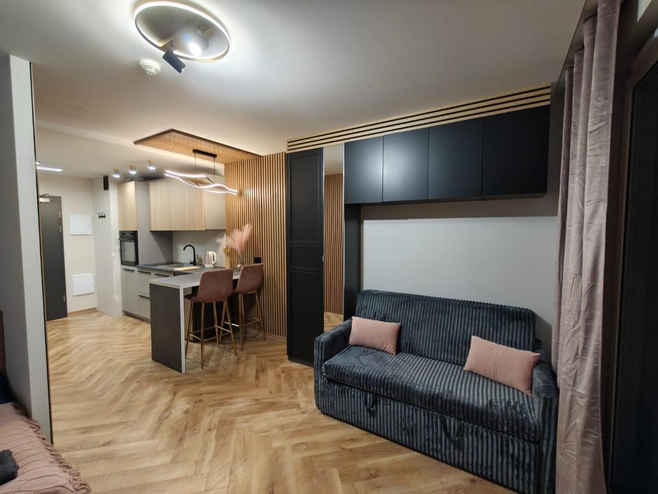Kitchen or kitchenette, Living room, microwave, oven, stove