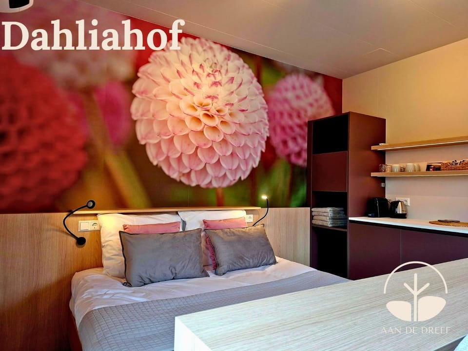 Bed, Photo of the whole room, Logo/Certificate/Sign