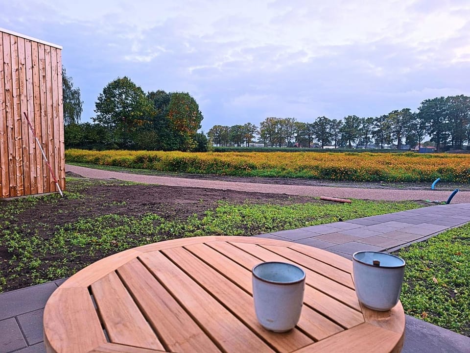 Day, Natural landscape, Garden, Garden view