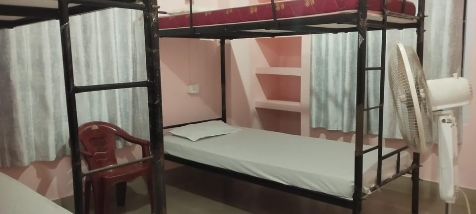 Bed, Photo of the whole room, Bedroom, bunk bed