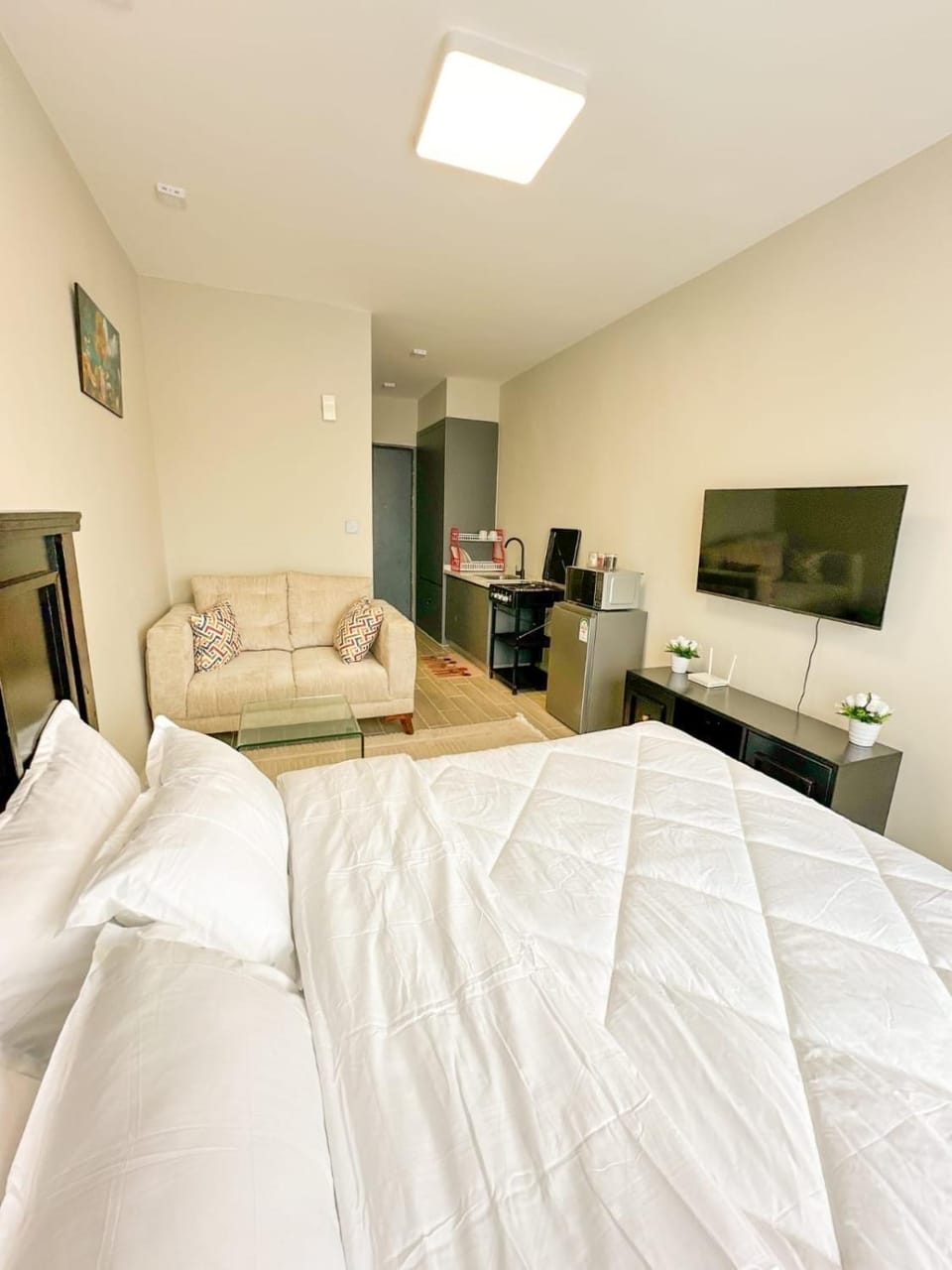 Photo of the whole room