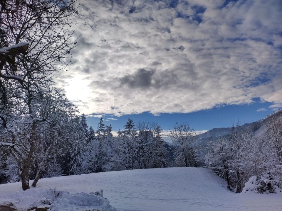 Zetzenberghütte House in Salzburgerland