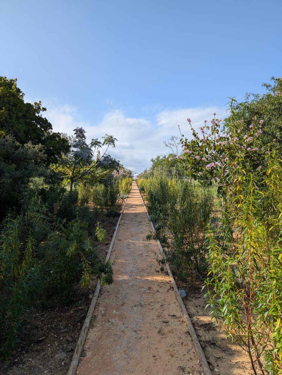 Garden, Garden view