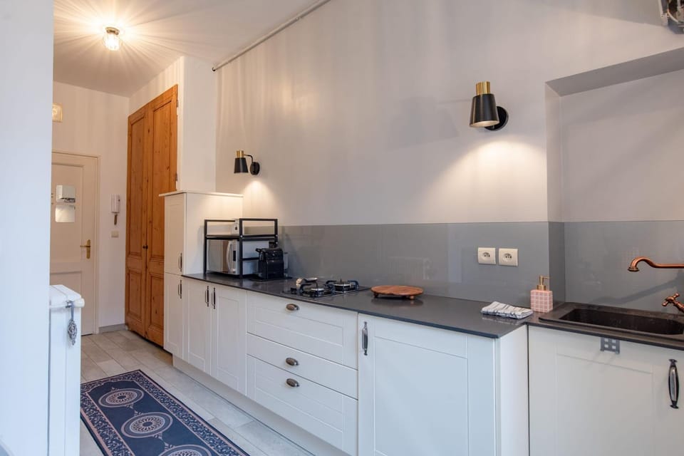 Quiet studio with garden near Part-Dieu Apartment in Villeurbanne