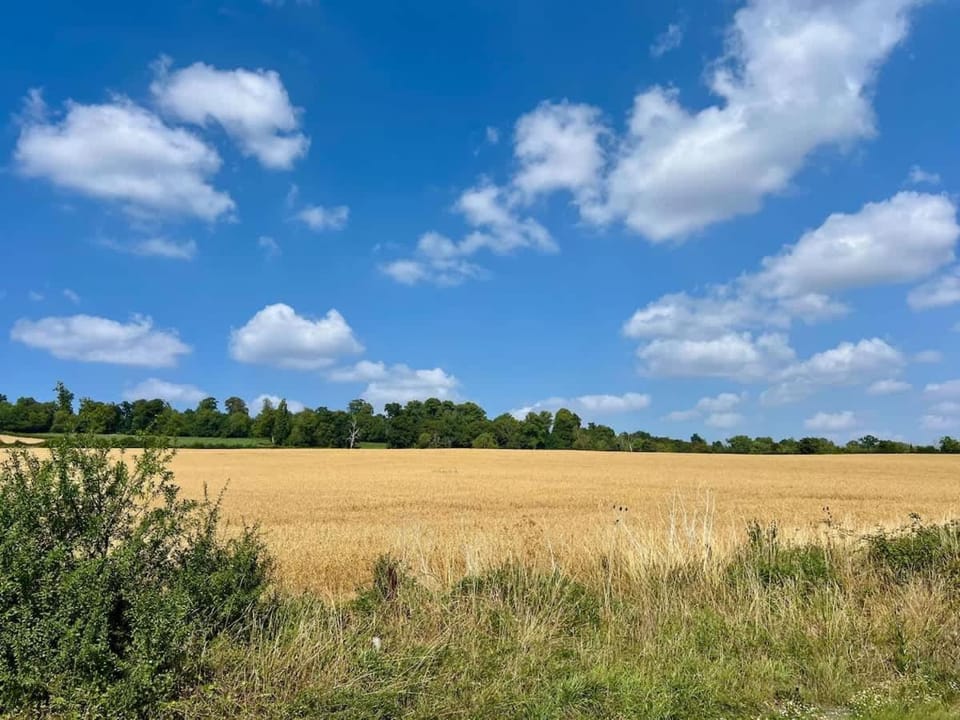 Luxury Barn Complex -Hot Tub- Orchardleigh Frome House in Frome
