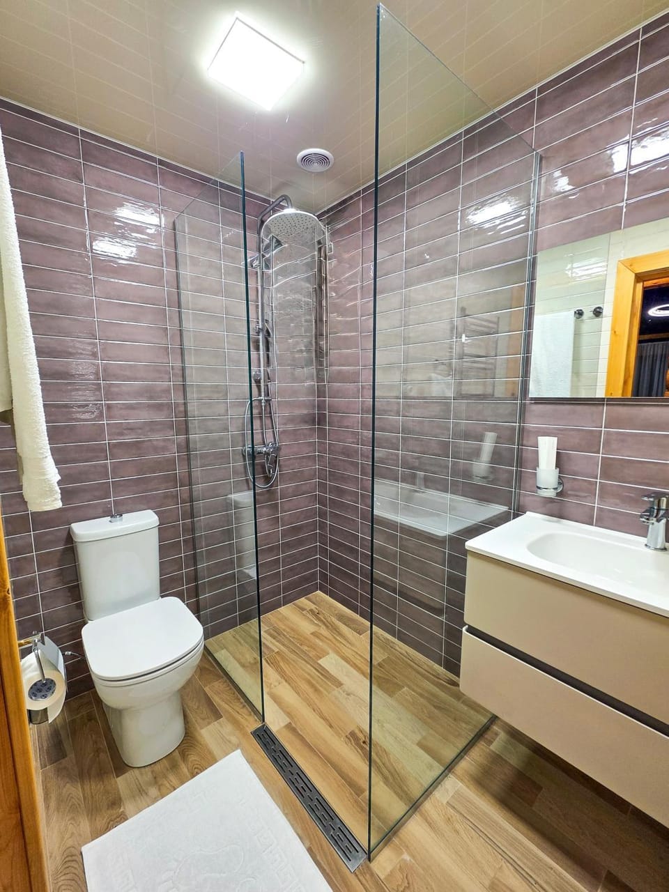 Shower, Toilet, towels