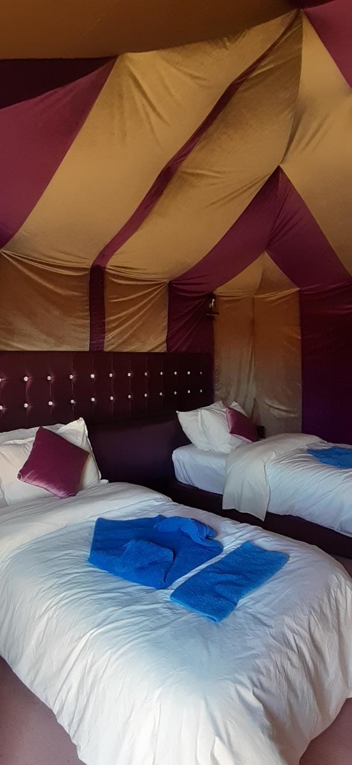 Sahara Waves Luxury Camp Luxury tent in Morocco