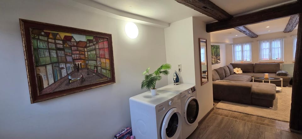 Living room, washing machine, dryer