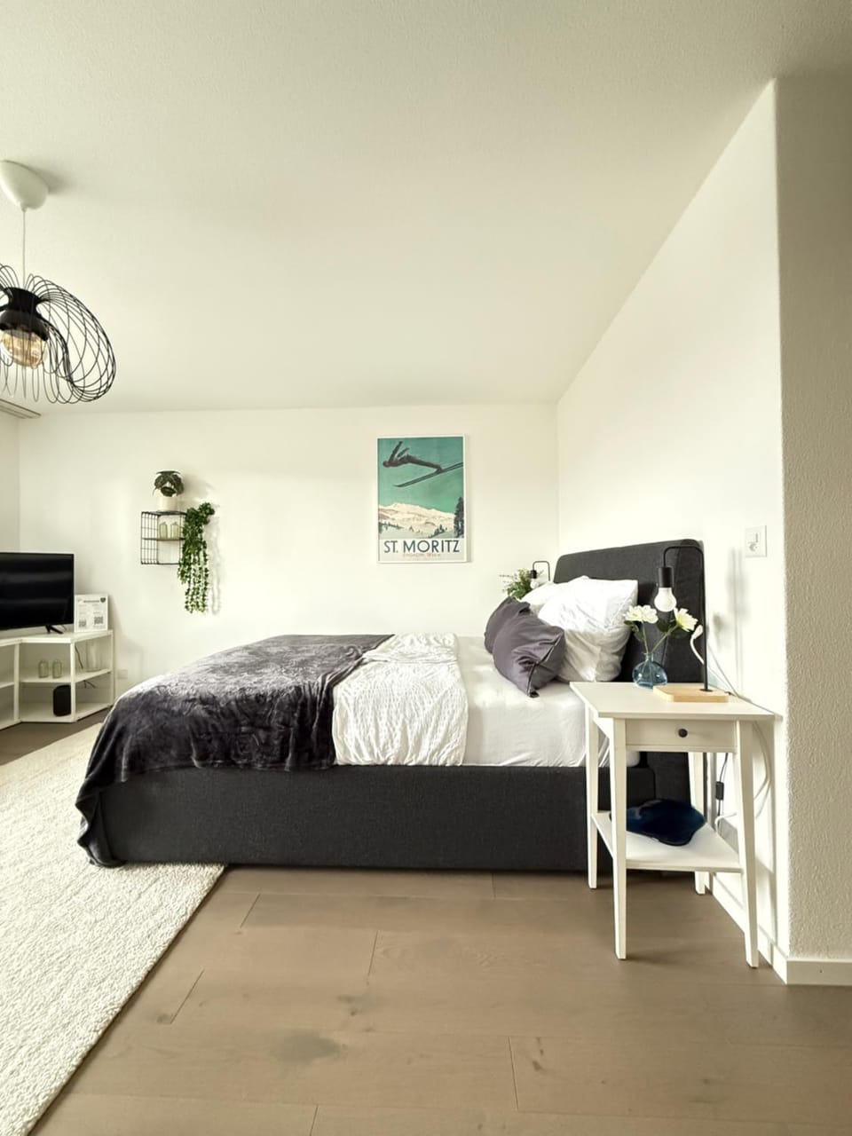 Bed, Living room, Photo of the whole room, Bedroom