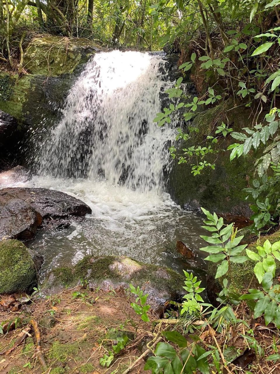 Natural landscape, Hiking