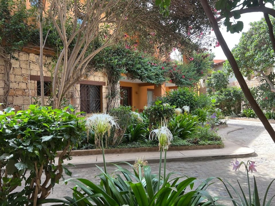 Off site, Garden, Garden view