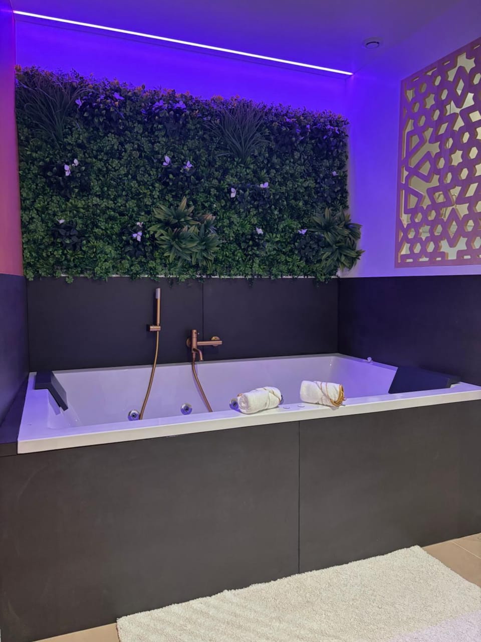 Suite orientale avec baignoire balnéo Apartment in Cagnes-sur-Mer