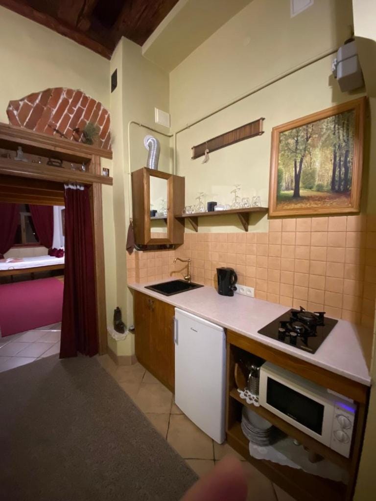 Museum Apartments Apartment in Lviv