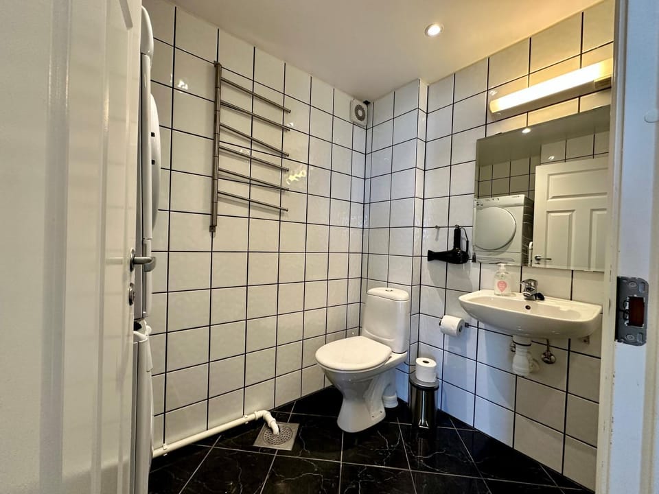 Toilet, Bathroom, washing machine