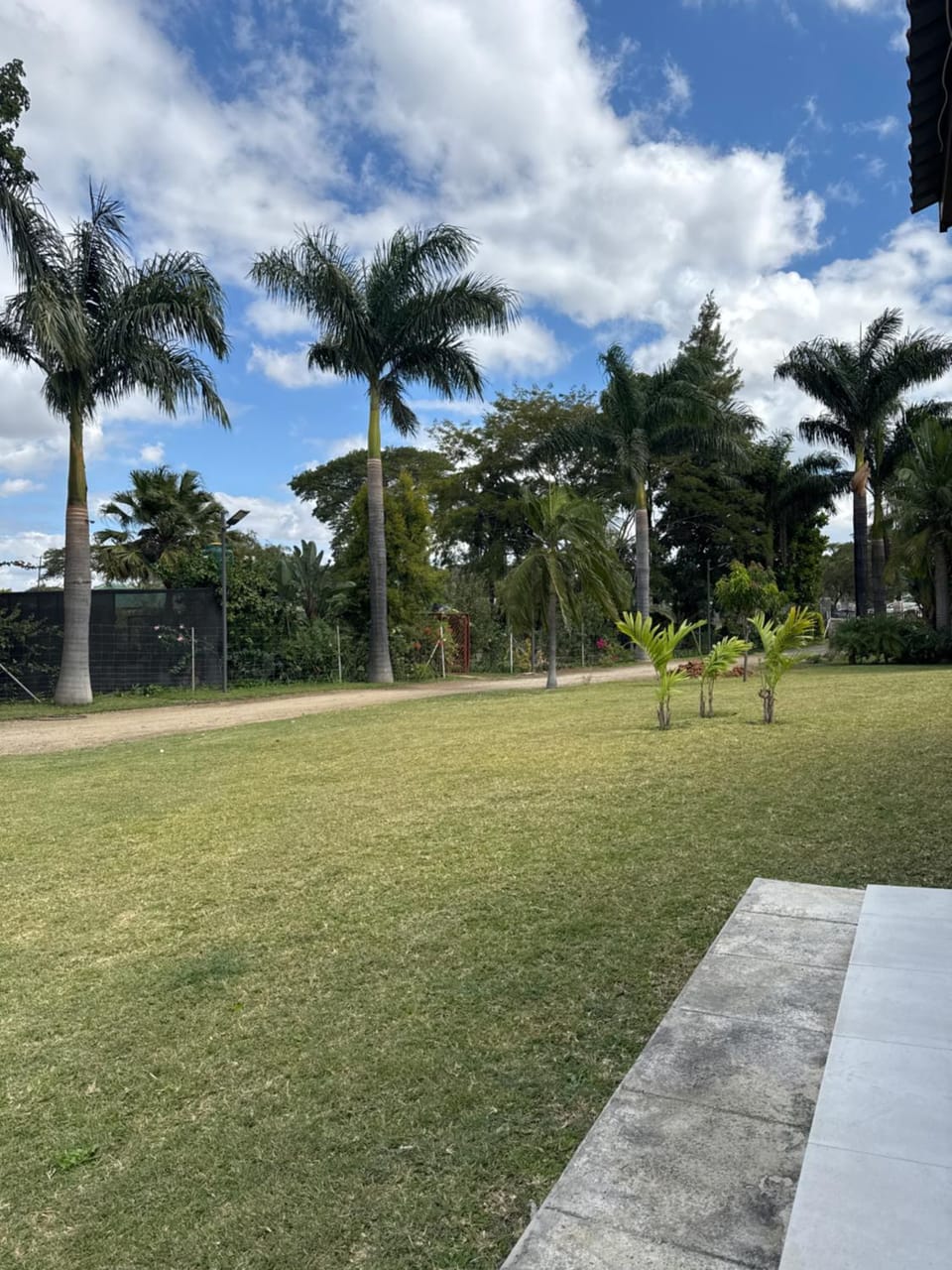 Garden view