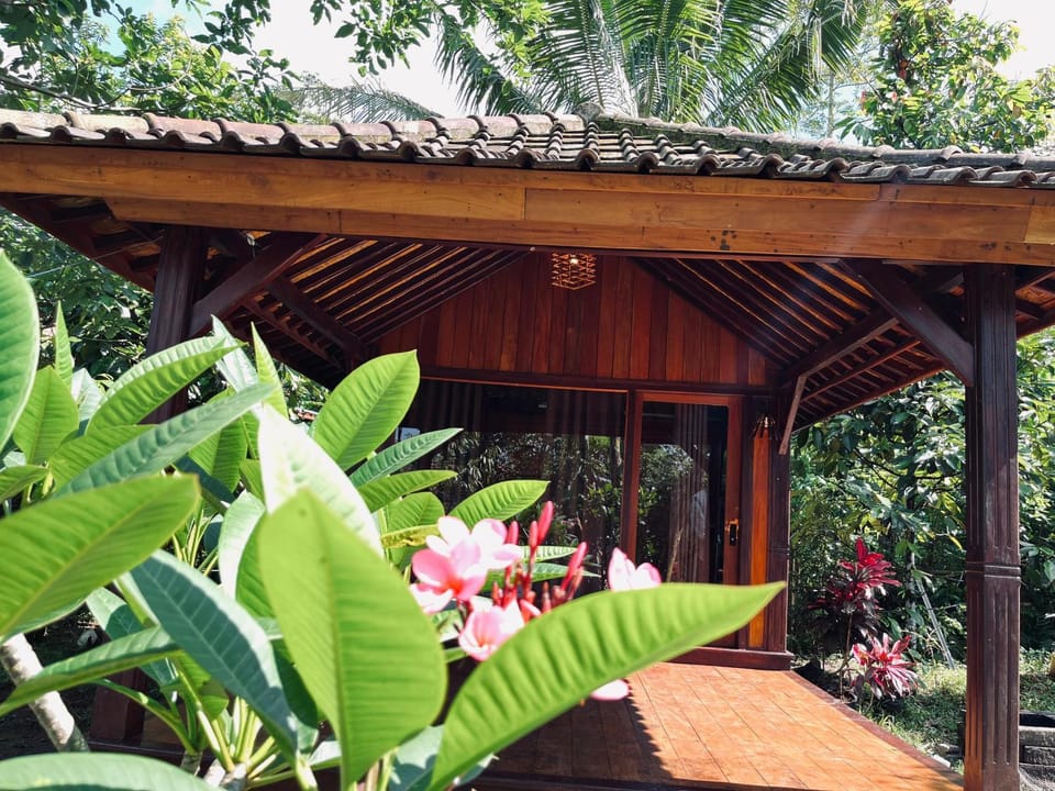 Property building, Garden view