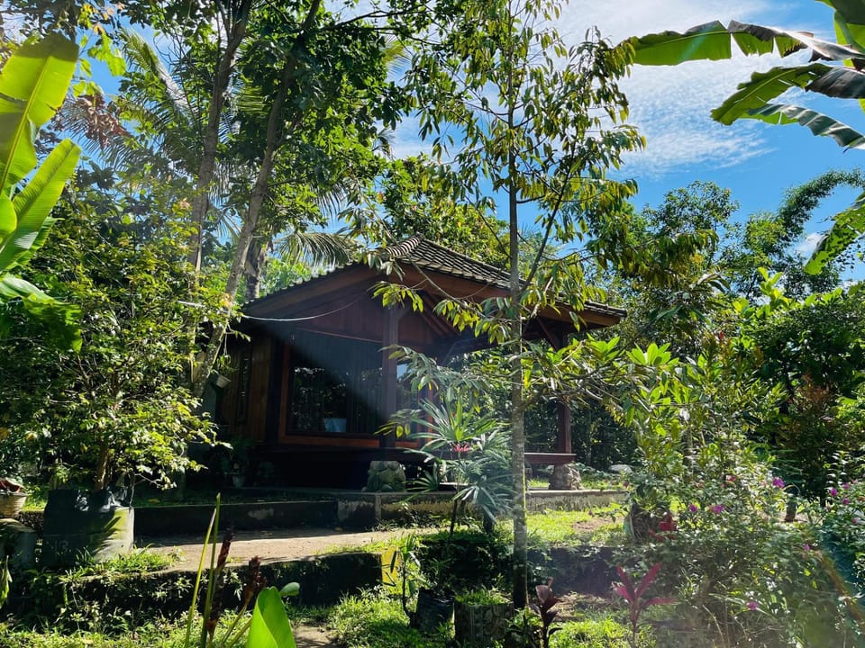 Garden, Garden view
