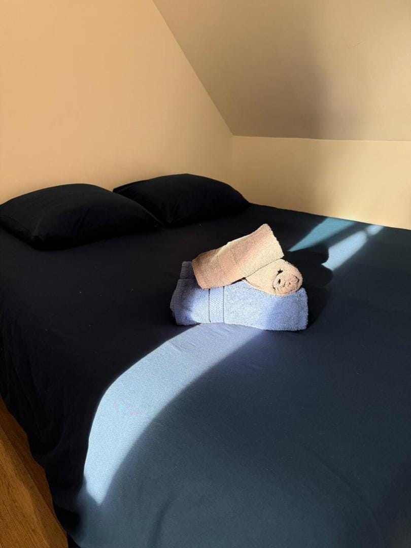 COZY : Votre cocon douillet à Epernon Apartment in Centre-Val de Loire