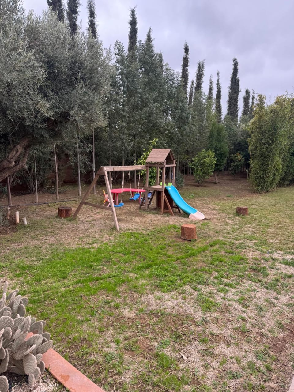Children play ground