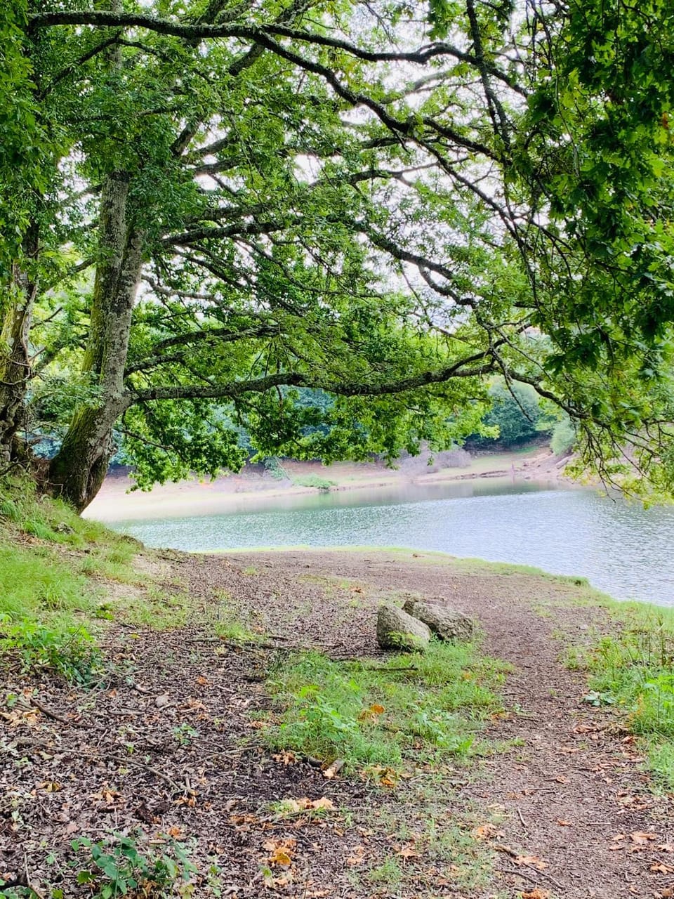 Natural landscape