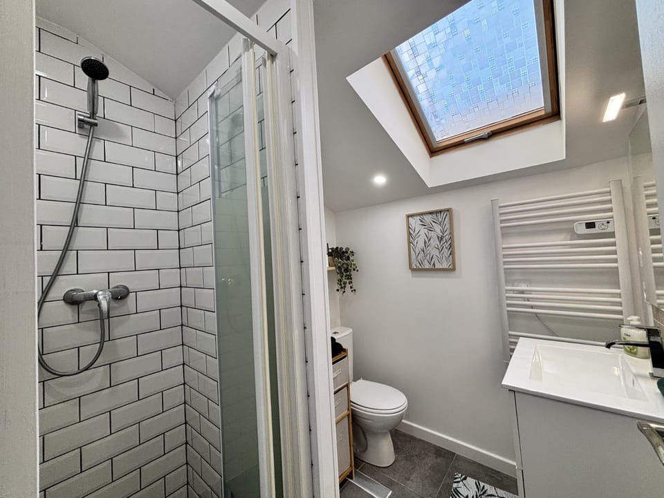 Shower, Toilet, Bathroom, hair dryier