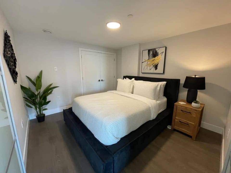 Large 1 BR downtown with lots of sunlight Apartment in Dartmouth