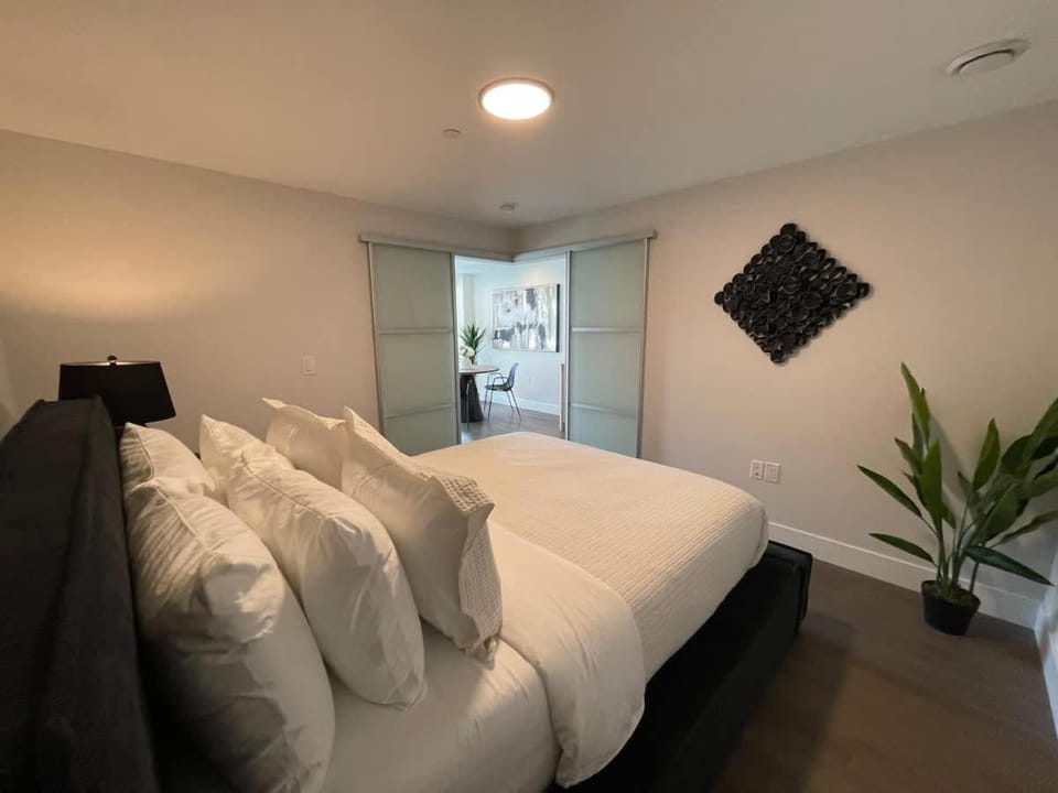 Large 1 BR downtown with lots of sunlight Apartment in Dartmouth