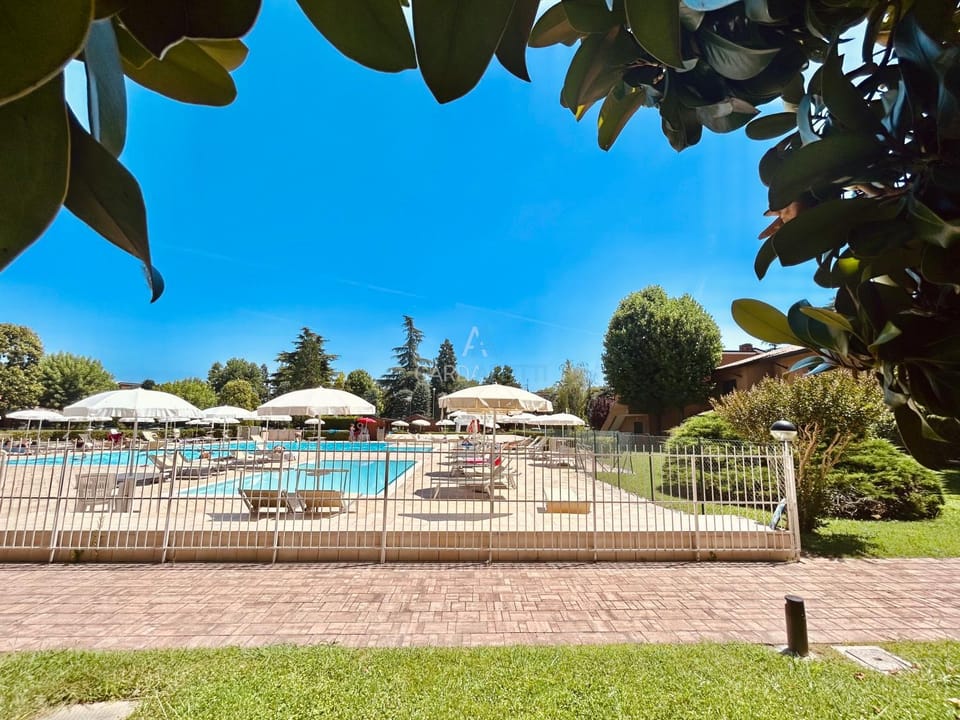 Swimming pool, Swimming pool